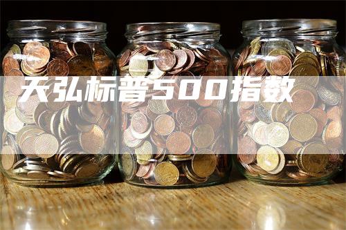 天弘标普500指数