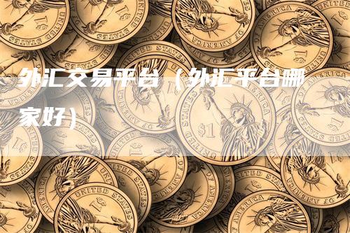 外汇交易平台（外汇平台哪家好）