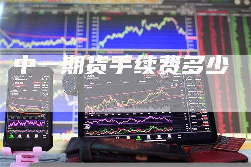 中一期货手续费多少