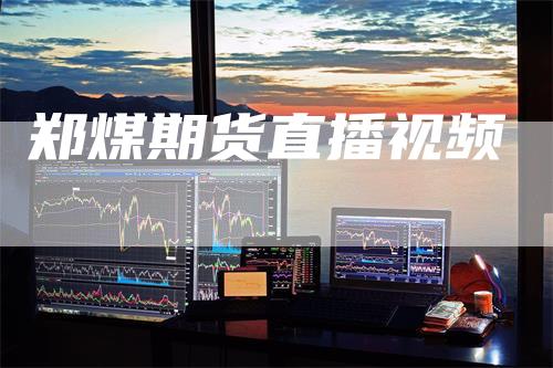 郑煤期货直播视频