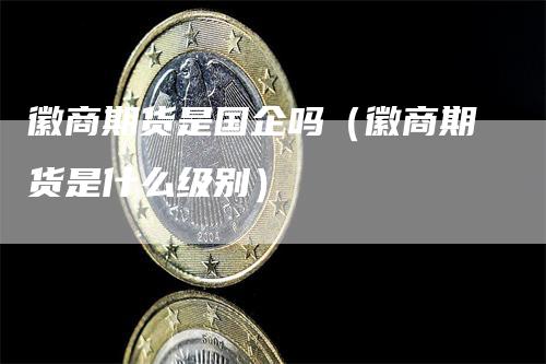 徽商期货是国企吗（徽商期货是什么级别）
