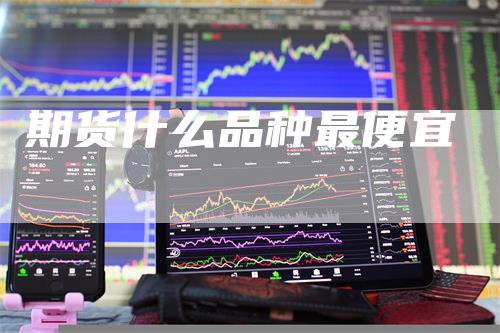 期货什么品种最便宜