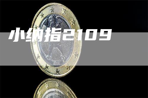 小纳指2109