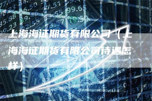 上海海证期货有限公司（上海海证期货有限公司待遇怎样）