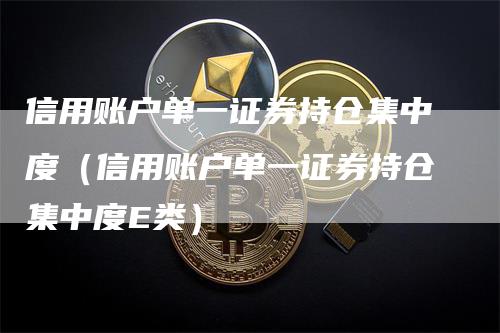 信用账户单一证券持仓集中度（信用账户单一证券持仓集中度E类）